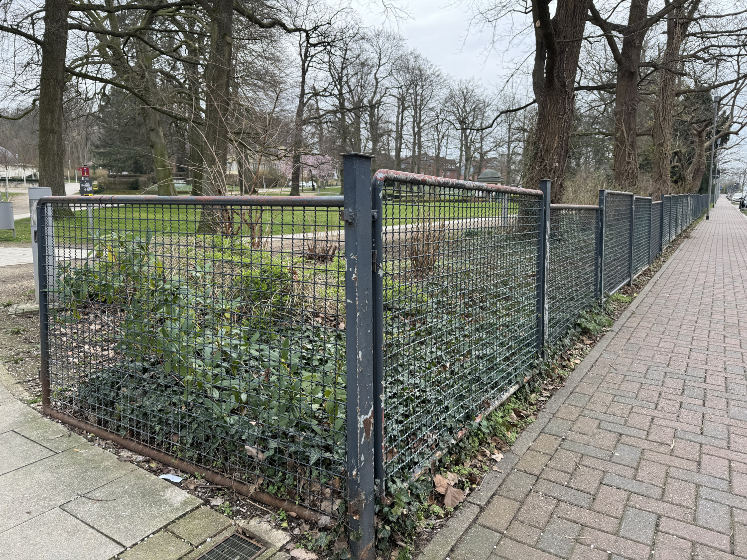 Dieser Zaun zwischen Sonnengarten und Bahnhofstraße wird ersetzt.