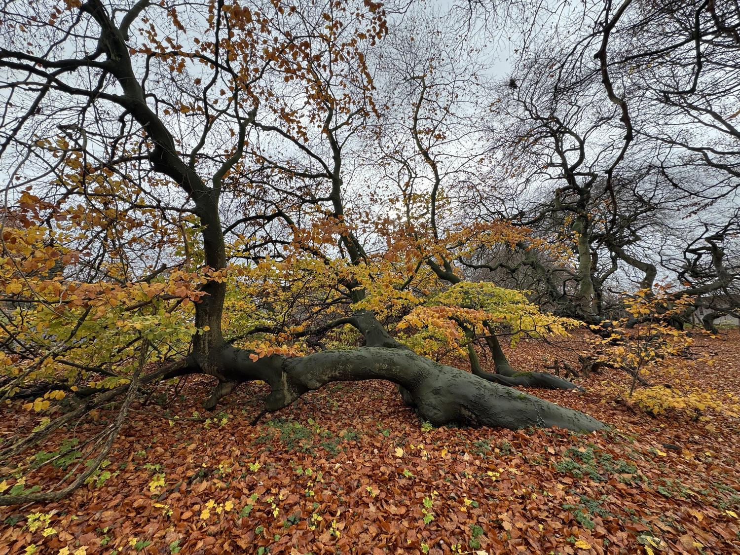 Kur Suentelbuchen 03