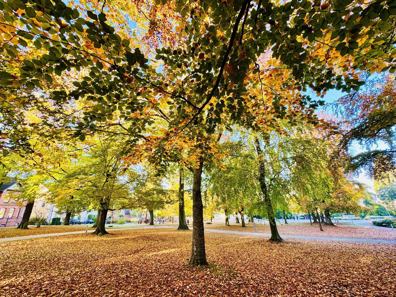 Landesgartenschau Bad Nenndorf Kurpark Bad Nenndorf Im Herbst Foto Annika Wilkening