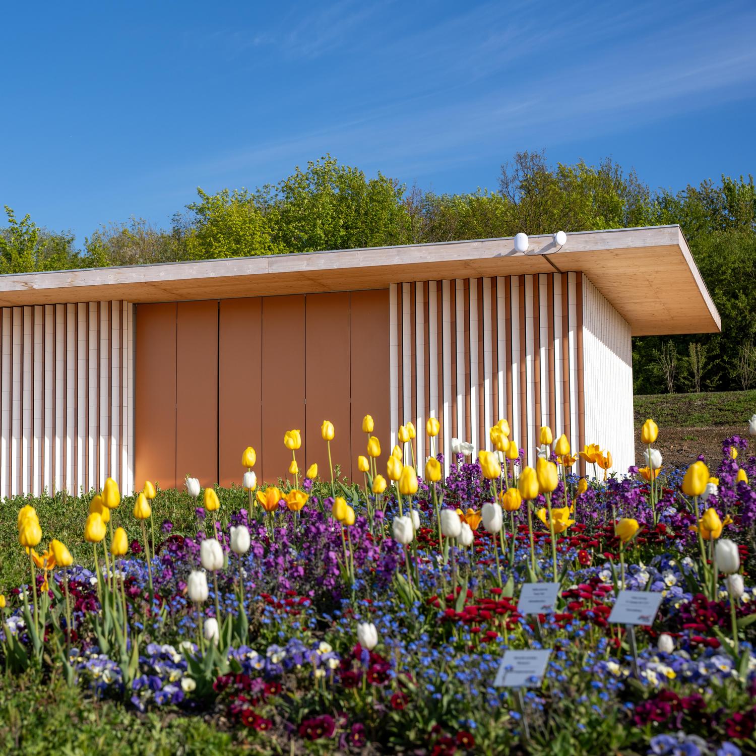 Pavillon