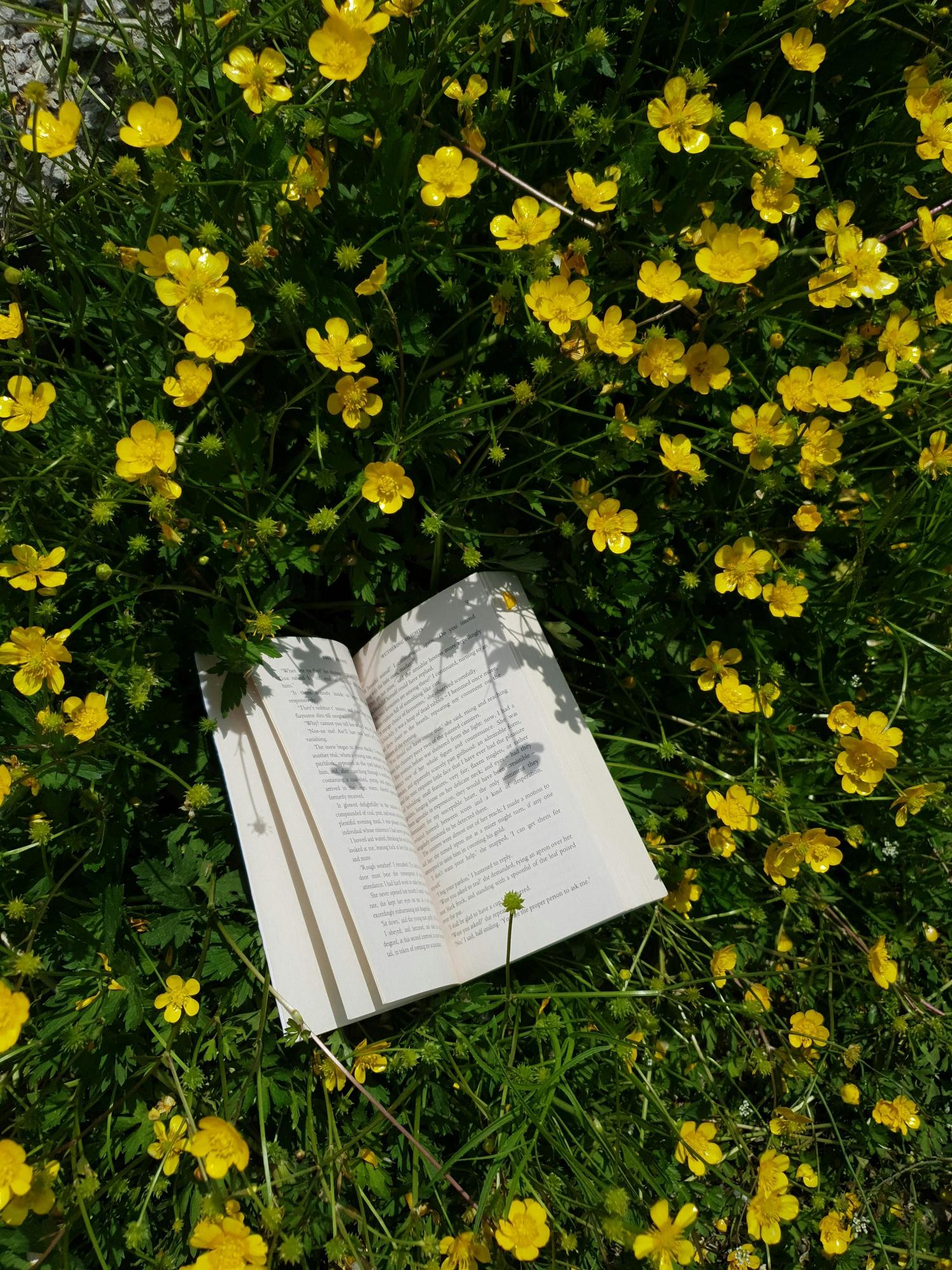 Liya Shin Q4lrdUSEJb8 Unsplash