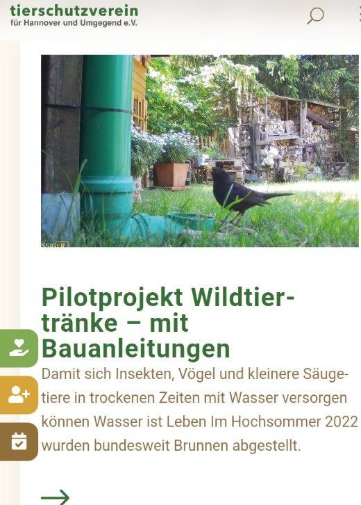 Titelbild