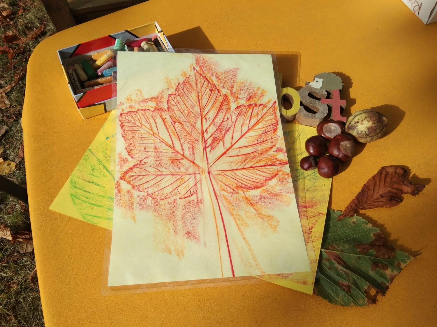 Steinhardt Herbst