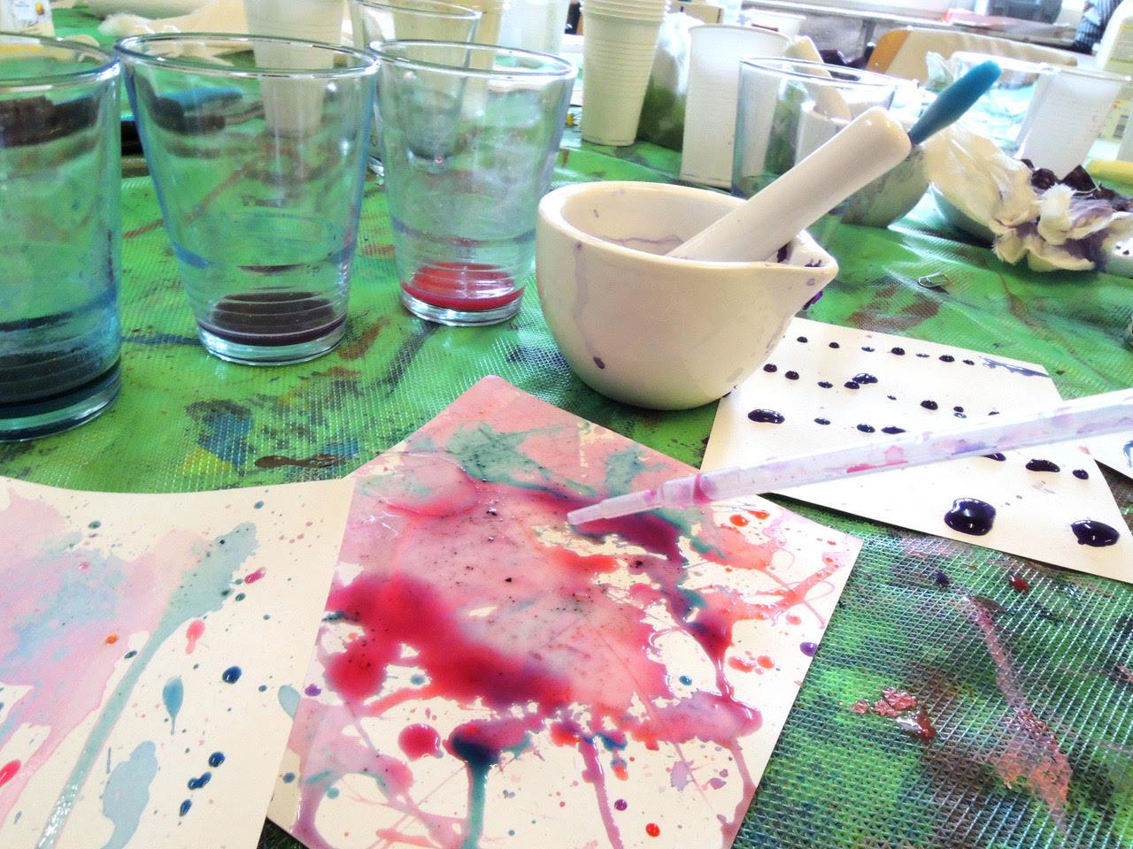 Noa Noa Faerberpflanzen Foto1