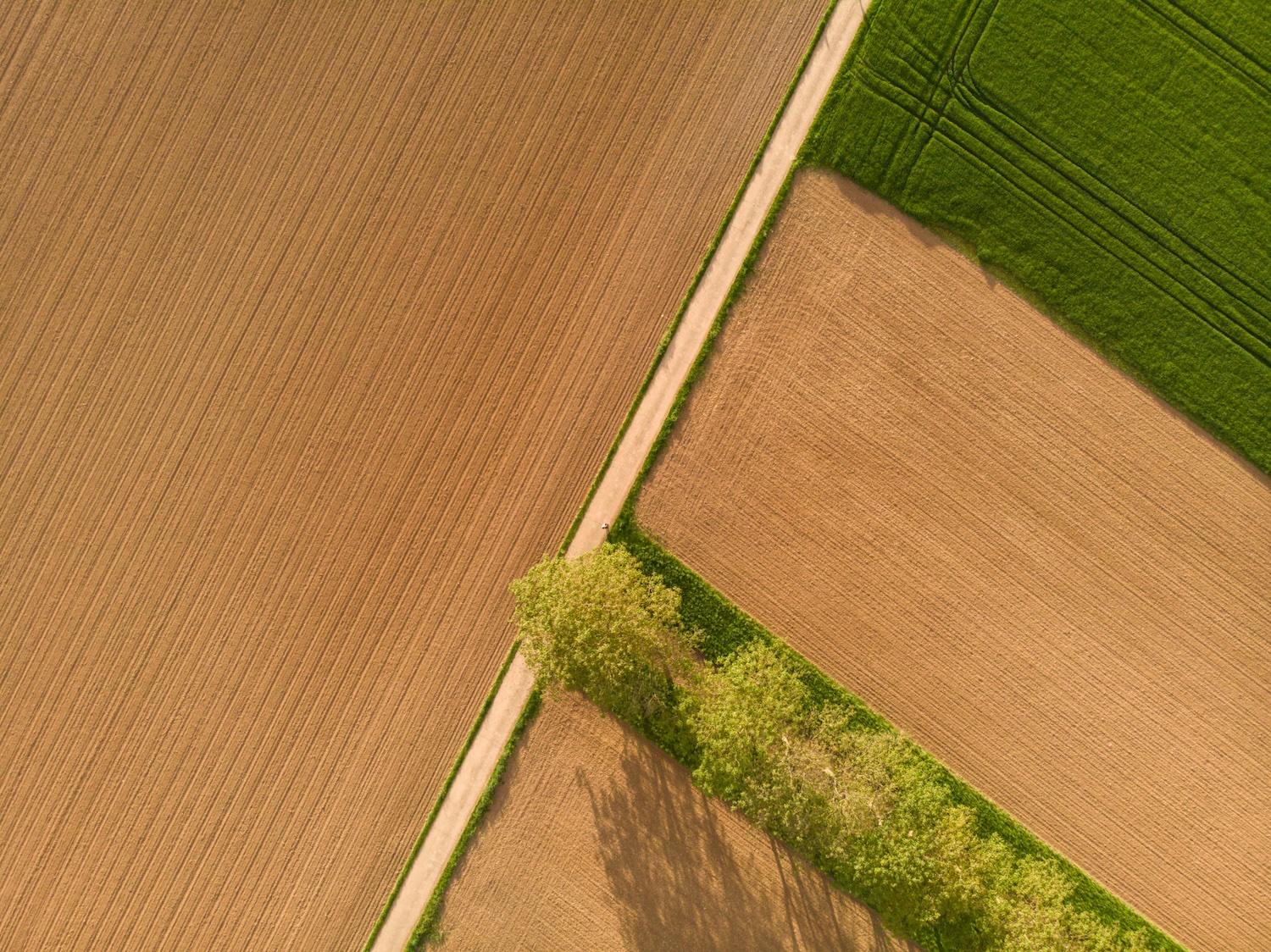 Weltacker Heuhuepfer