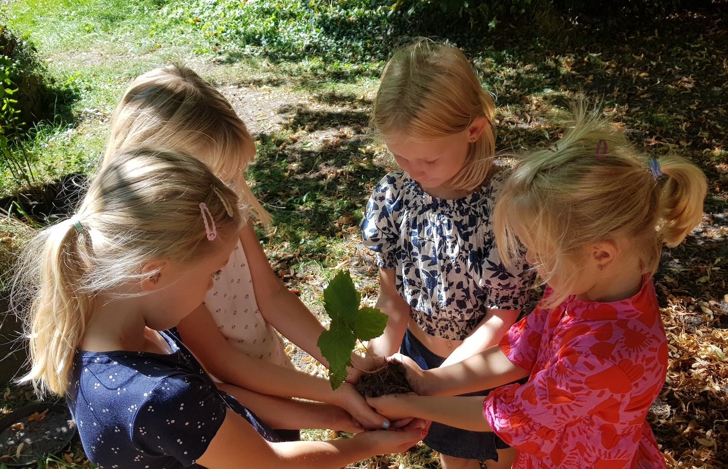 Bewegende Momente WVG Nord 1