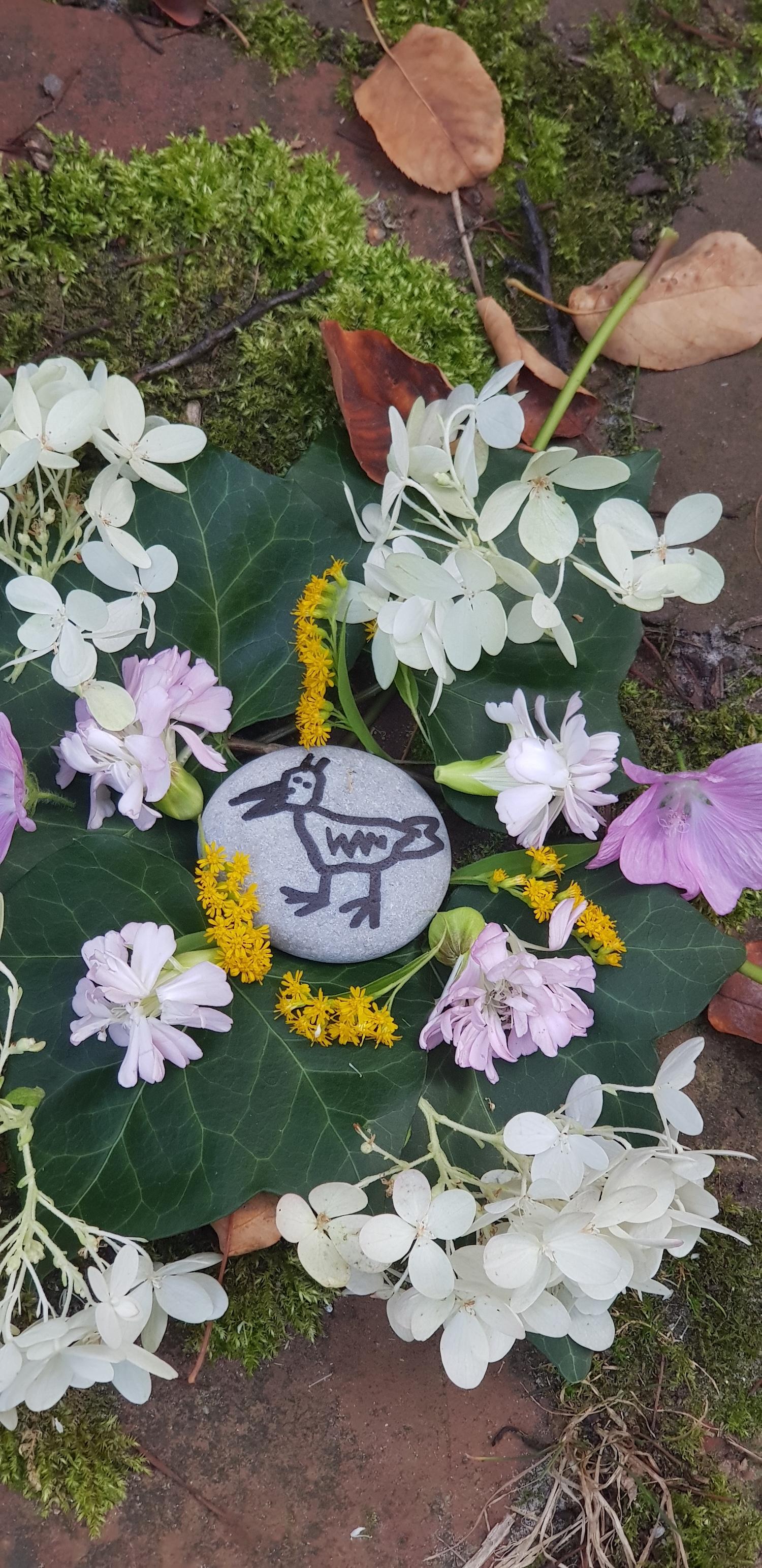 Bewegende Momente WVG Nord 5