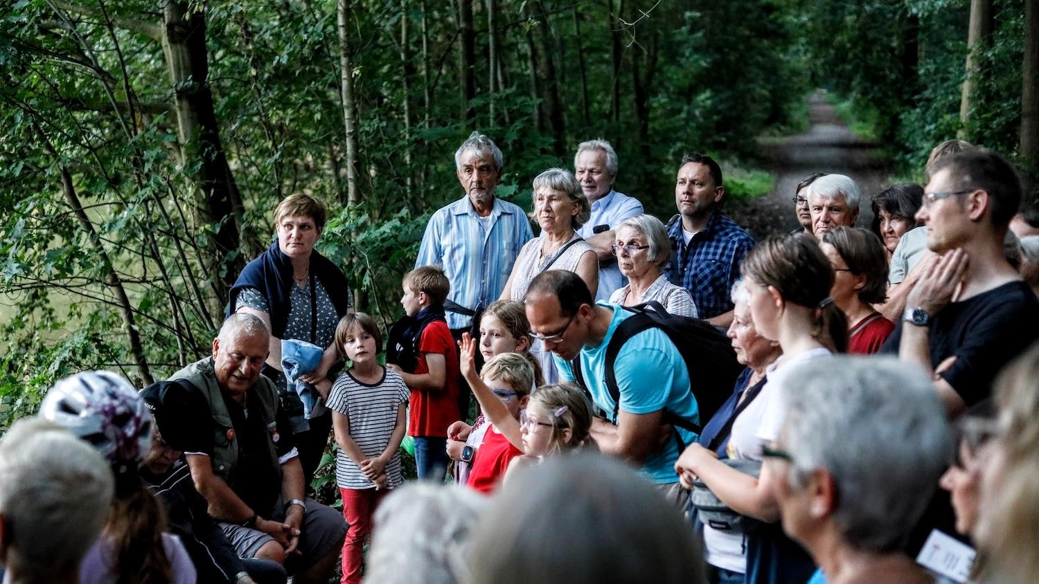 Eike Loos Fledermaus