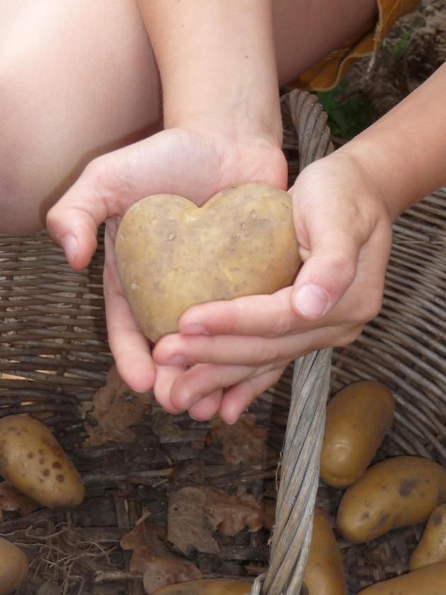 Landfrauen August09 060