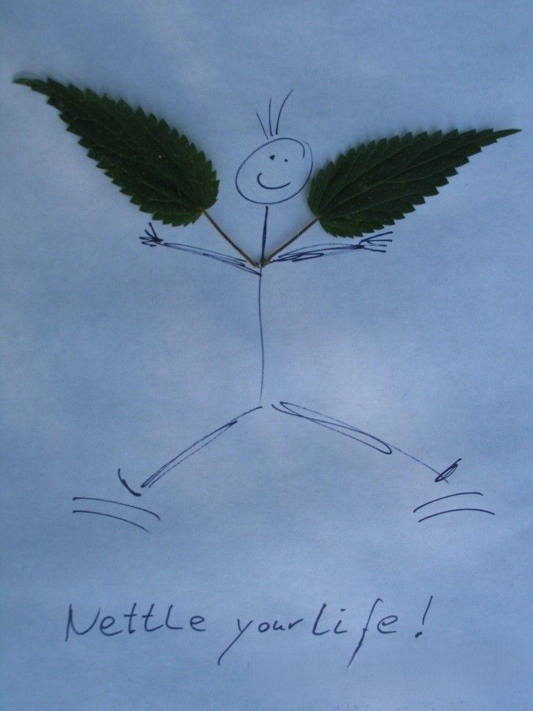 Titelbild