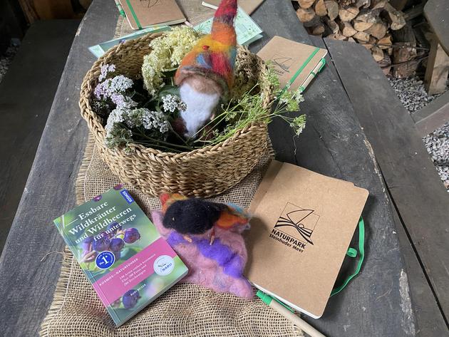 Holunder Foto Sina Kruse